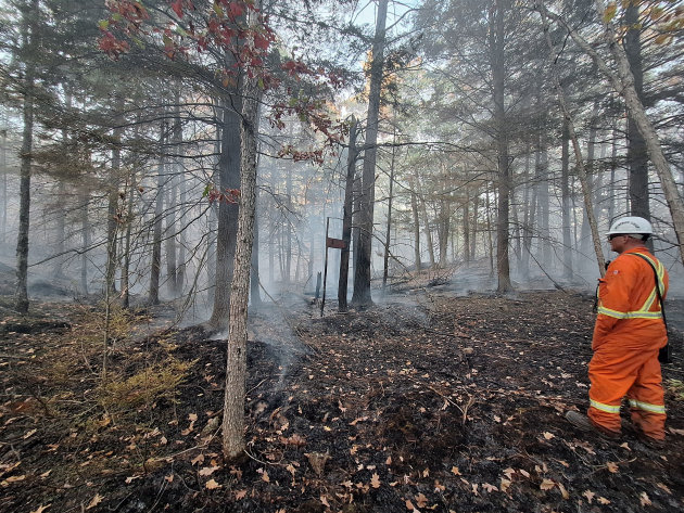Gravenhurst wildfire caused by unattended cooking fire