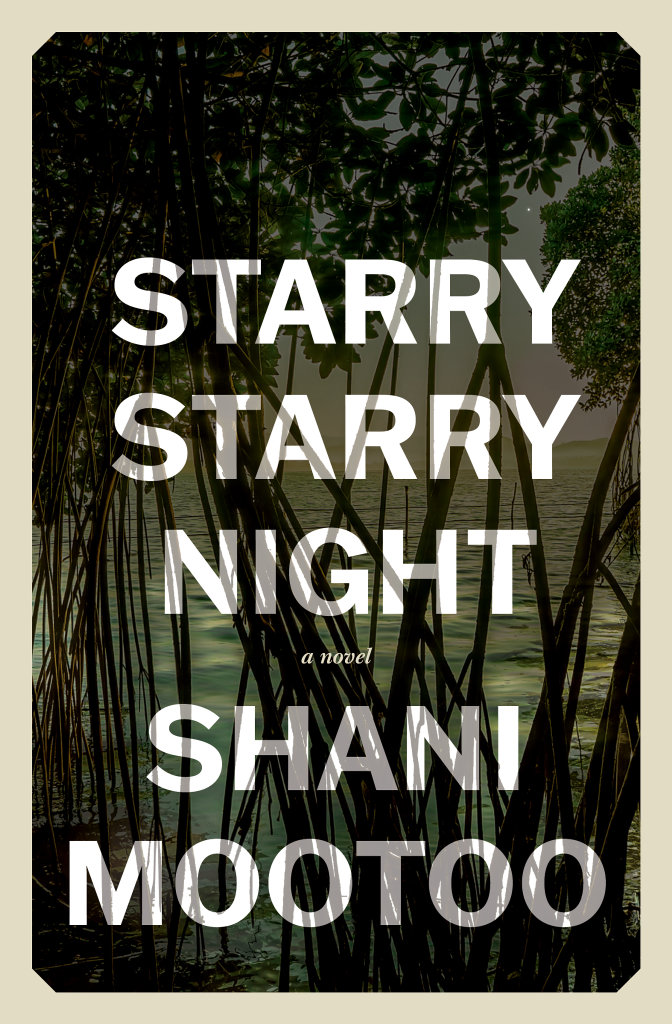 Starry-Starry-Night_Shani-Mootoo_9781771669566.jpg