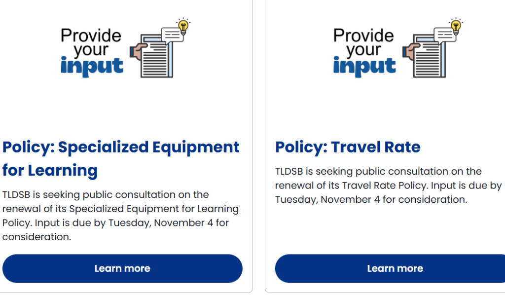 TLDSB-input-1024×598.png