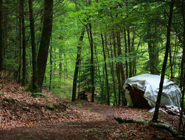 Demand for Homelessness Supports Rising Across Muskoka