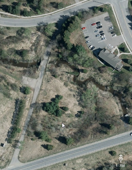 2025-11-27-10_55_30-Town-of-Bracebridge-Document-Center.png