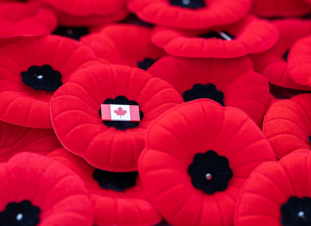 poppies-1024×745.jpg