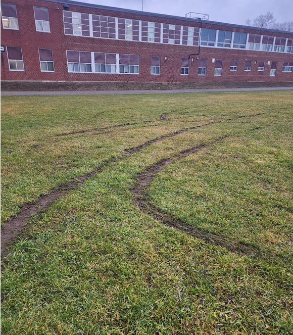sports-field.JPG