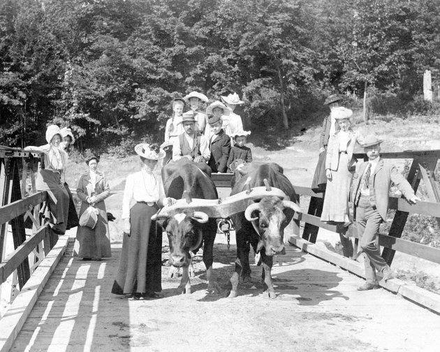 Wayback Wednesday: Family with Oxcart, Port Sydney, 1914