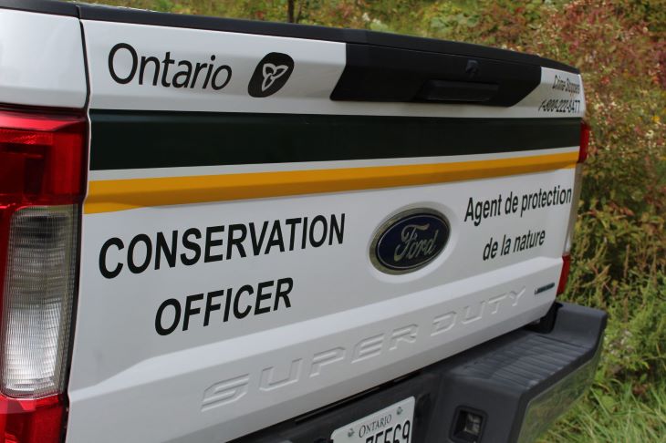 Conservation-officer.jpg