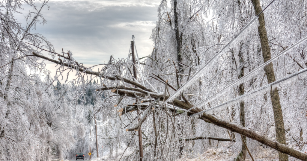 Website-image-for-ice-storm.png