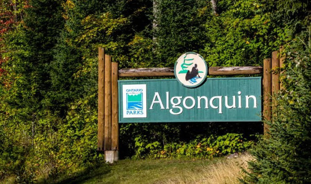 Ontario relaxing alcohol restrictions in provincial parks
