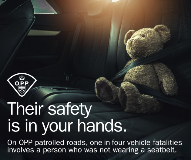 OPP Urges Drivers to Buckle Up as Fatal Seatbelt-Related Collisions Rise