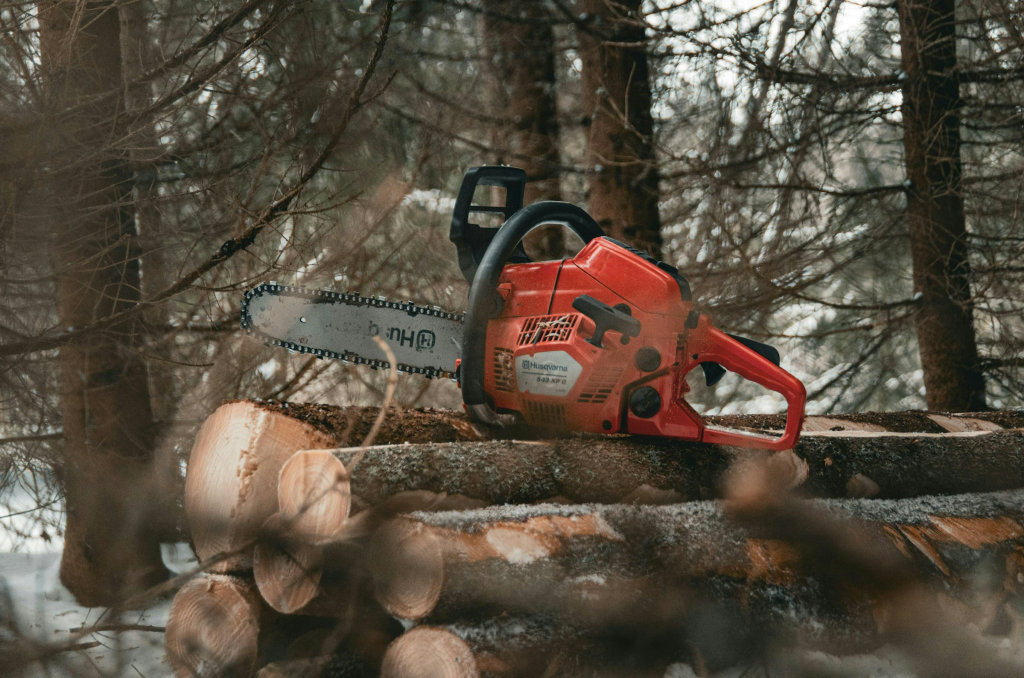 Bracebridge Issues Tree-Cutting Bylaw Reminder