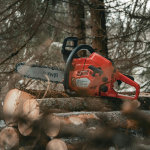 Bracebridge Issues Tree-Cutting Bylaw Reminder
