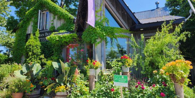 Gravenhurst seeking nominations for Daisy Awards recognizing outstanding gardens