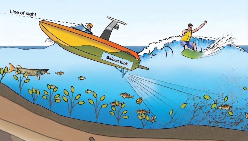 Safe Quiet Lakes and Safe Wakes Coalition Launch Education Initiative to Support Responsible Wake-Enhanced Activities