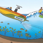 Safe Quiet Lakes and Safe Wakes Coalition Launch Education Initiative to Support Responsible Wake-Enhanced Activities  