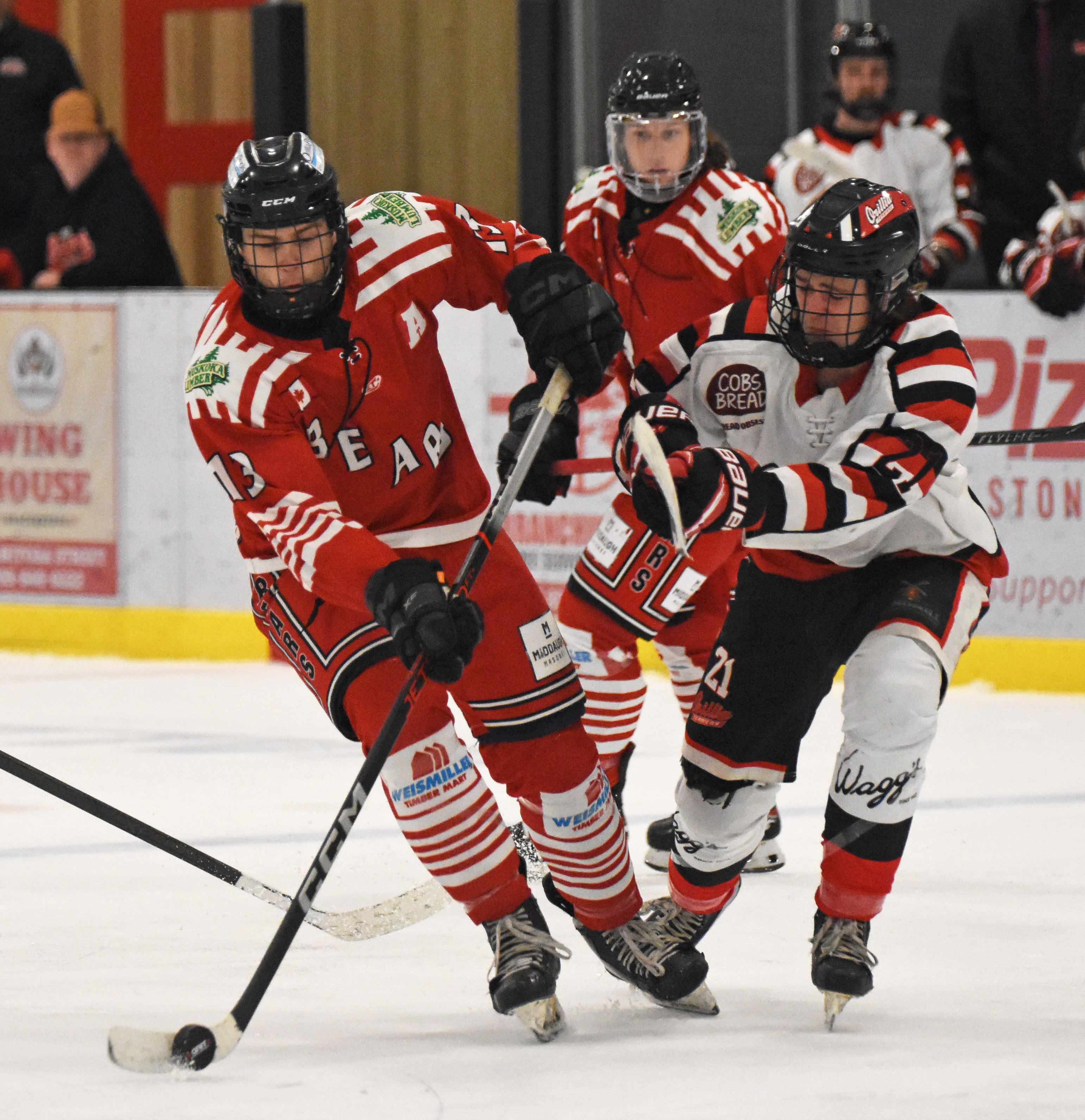 Bears Drop Pair of Home Games Over Thanksgiving Weekend - South Muskoka ...